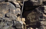 photo thumbnail #7
