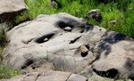 photo thumbnail #9