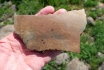 photo thumbnail #12