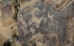 photo thumbnail #13