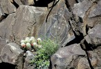 photo thumbnail #15