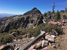 photo thumbnail #3