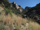photo thumbnail #4