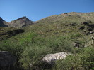 photo thumbnail #12