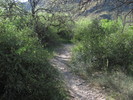 photo thumbnail #13