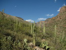photo thumbnail #15