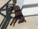 photo thumbnail #13