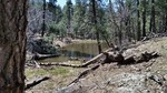 photo thumbnail #13