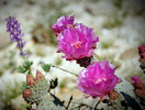 photo thumbnail #5