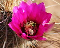 photo thumbnail #4