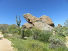 photo thumbnail #5
