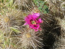 photo thumbnail #8