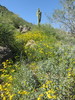 photo thumbnail #13