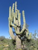 photo thumbnail #14