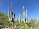 photo thumbnail #15