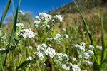 photo thumbnail #14