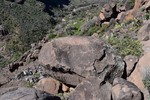 photo thumbnail #9