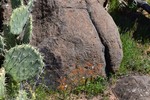 photo thumbnail #15