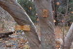 photo thumbnail #11