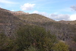 photo thumbnail #12