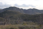 photo thumbnail #13