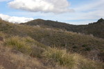 photo thumbnail #14