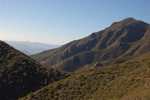 photo thumbnail #10