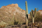 photo thumbnail #5