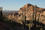 photo thumbnail #10