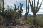 photo thumbnail #10