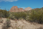 photo thumbnail #12