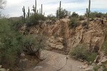 photo thumbnail #14