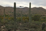 photo thumbnail #15