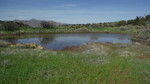 photo thumbnail #11