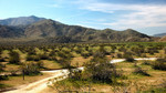 photo thumbnail #4