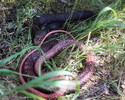 photo thumbnail #9