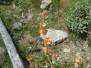 photo thumbnail #9
