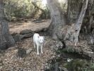 photo thumbnail #6