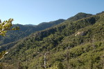 photo thumbnail #14