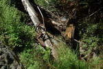 photo thumbnail #11