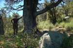 photo thumbnail #8