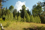 photo thumbnail #8