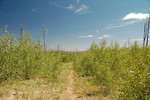 photo thumbnail #2