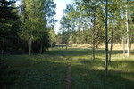 photo thumbnail #10