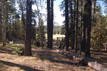 photo thumbnail #12