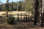photo thumbnail #13