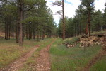 photo thumbnail #2