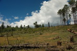 photo thumbnail #10