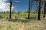 photo thumbnail #13