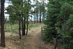 photo thumbnail #3